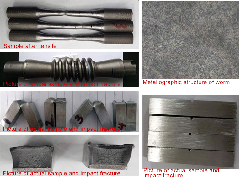 d&ouml;ner s&uuml;r&uuml;c&uuml; solucanı